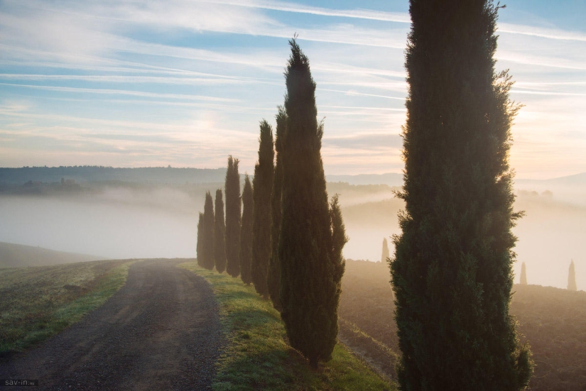 Warm autumn in Tuscany Warm autumn in Tuscany