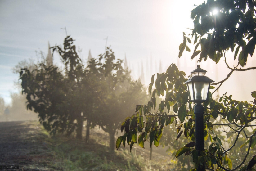 Warm autumn in Tuscany Warm autumn in Tuscany