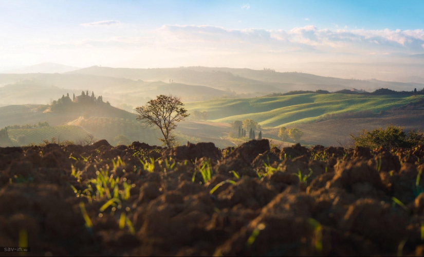 Warm autumn in Tuscany Warm autumn in Tuscany