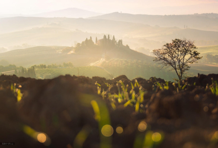 Warm autumn in Tuscany Warm autumn in Tuscany