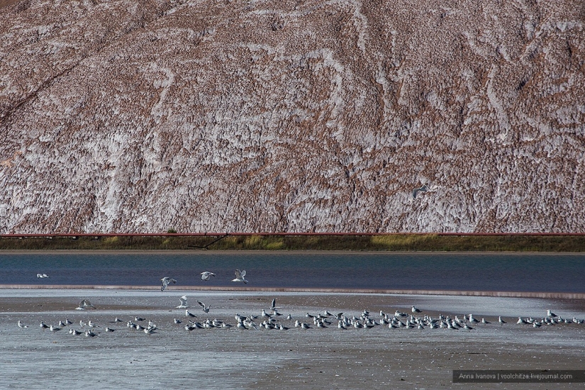 Waste heaps. Soligorsk mountains. Space landscapes of Belarus Waste heaps. Soligorsk mountains. Space landscapes of Belarus
