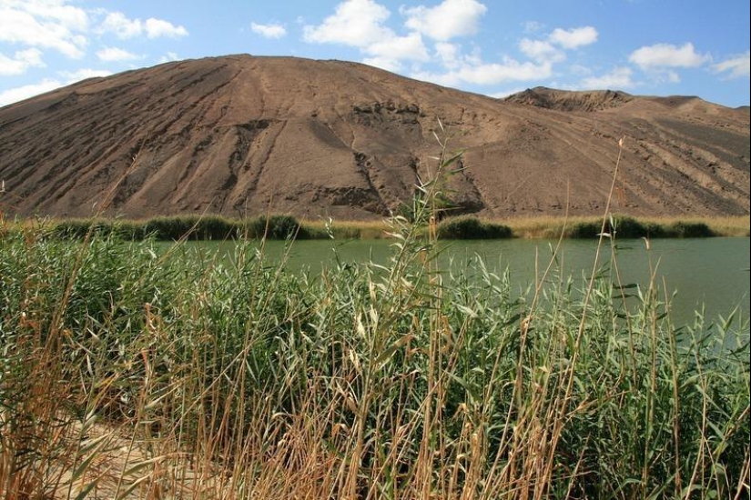 Wau an Namus - un oasis en un cráter volcánico Wau an Namus - un oasis en un cráter volcánico