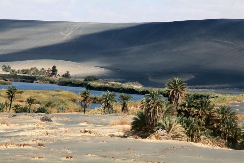 Wau an Namus - un oasis en un cráter volcánico Wau an Namus - un oasis en un cráter volcánico