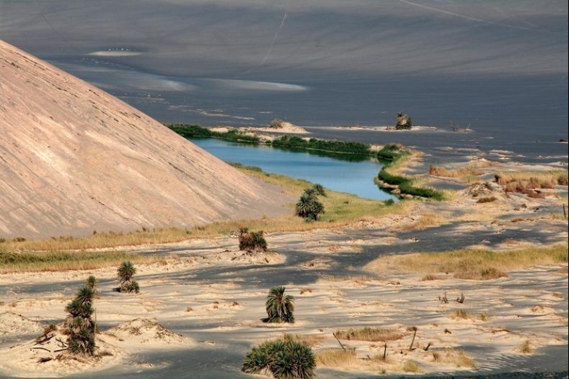 Wau an Namus - un oasis en un cráter volcánico Wau an Namus - un oasis en un cráter volcánico