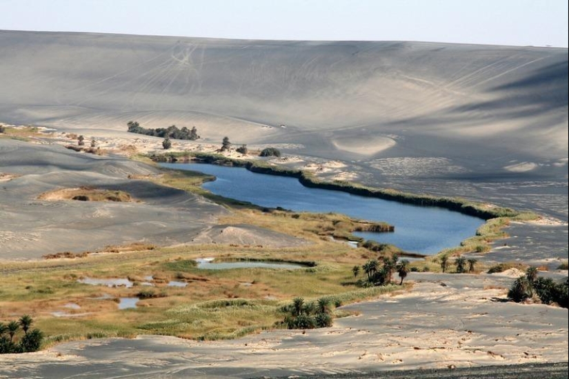 Wau an Namus - un oasis en un cráter volcánico Wau an Namus - un oasis en un cráter volcánico