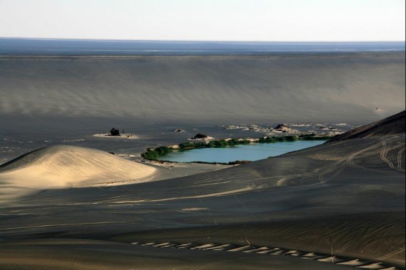 Wau an Namus - un oasis en un cráter volcánico Wau an Namus - un oasis en un cráter volcánico
