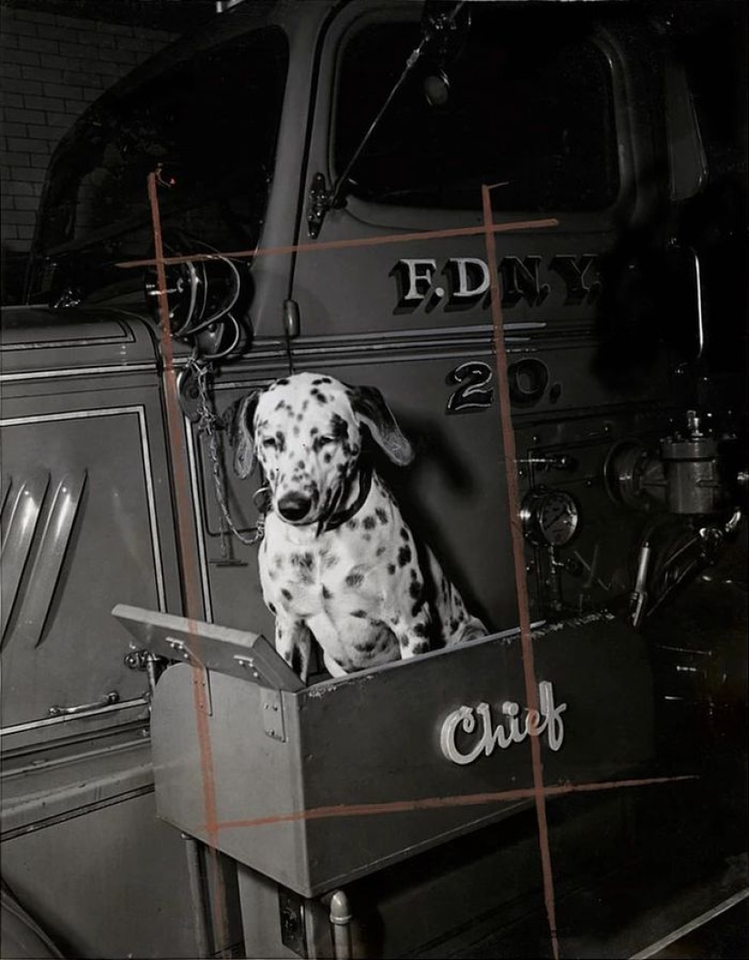 Weegee es un maestro de la fotografía criminal