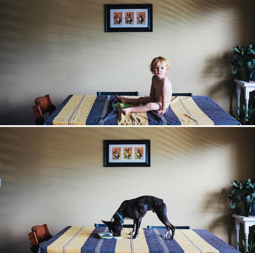 Well, a very sweet couple in a funny family photo project by Jesse Holland