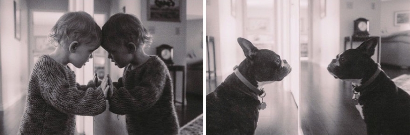 Well, a very sweet couple in a funny family photo project by Jesse Holland
