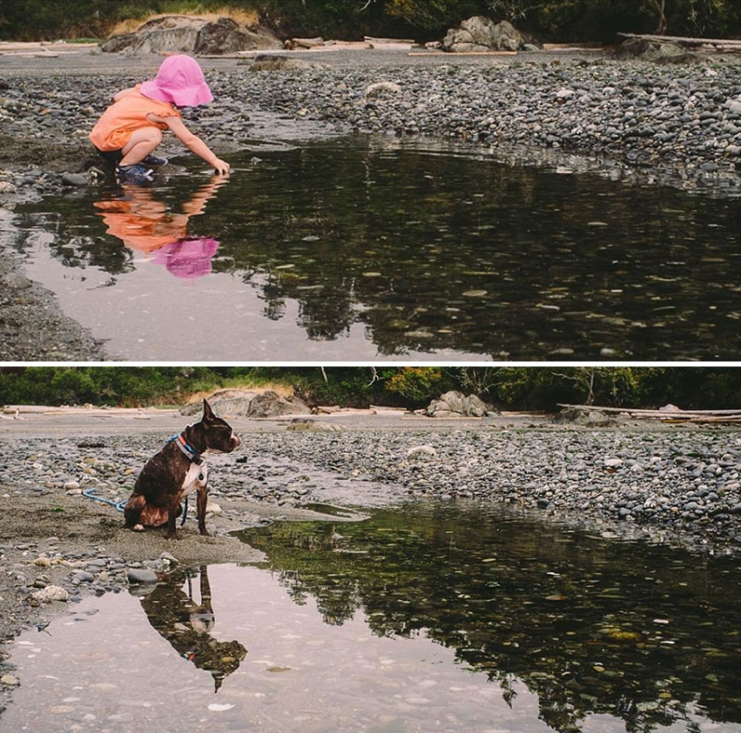 Well, a very sweet couple in a funny family photo project by Jesse Holland