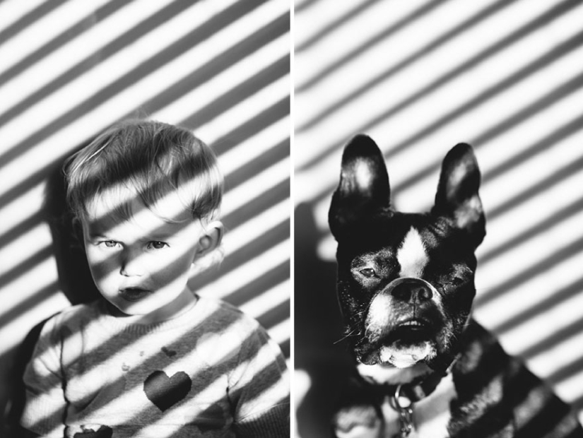 Well, a very sweet couple in a funny family photo project by Jesse Holland