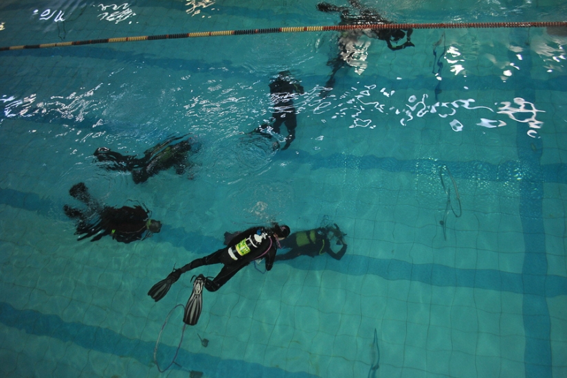 What are the girls ready for on March 8? What are the girls ready for on March 8?