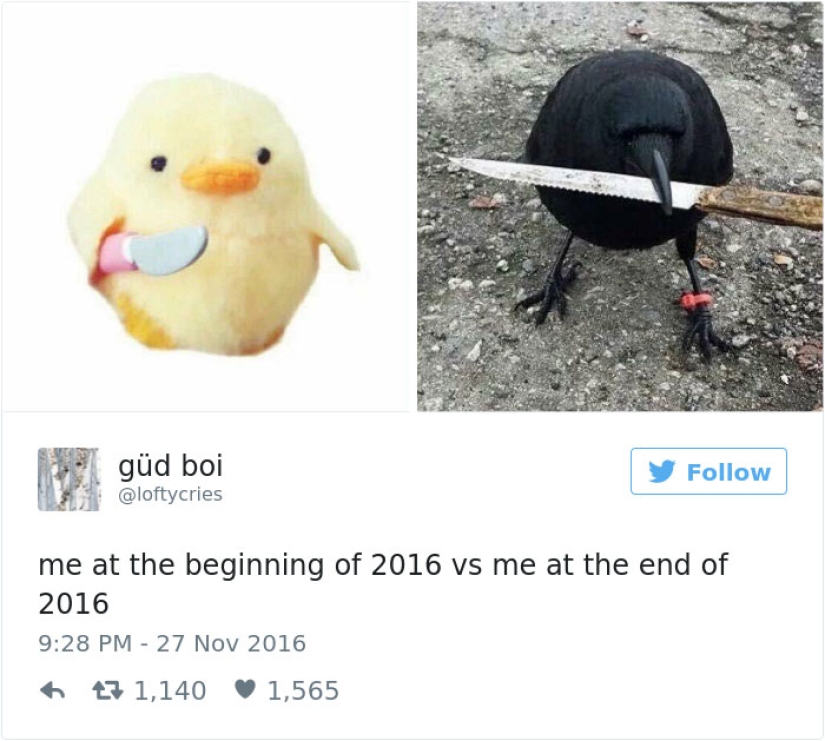 What did 2016 do to us