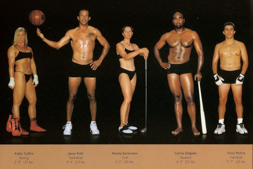 What do athletes&#39; bodies look like?