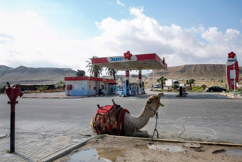 What gas stations look like around the world