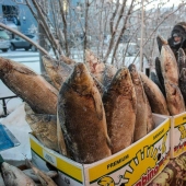 What is real Yakut stroganina