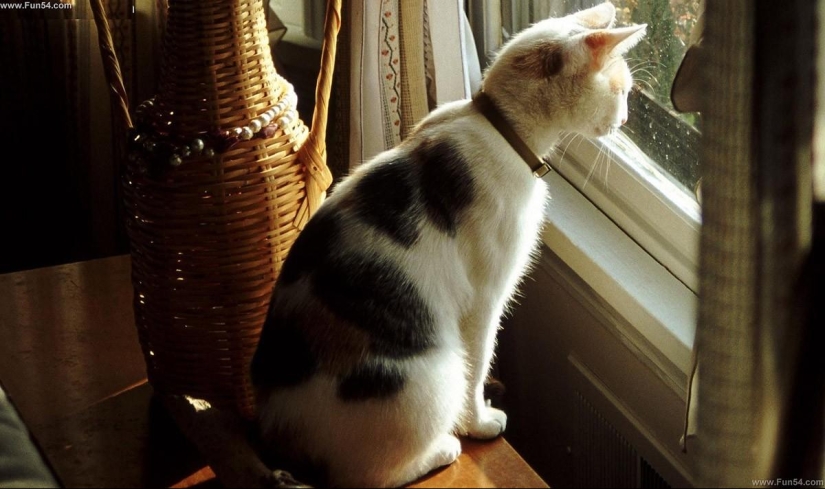 What modern windows are capable of What modern windows are capable of