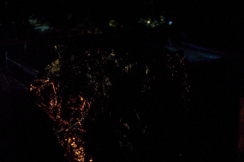 What refugees left behind where they will never return