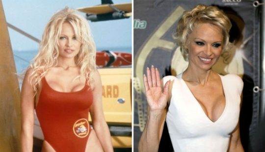 What the characters of the TV series "Baywatch" look like 27 years later What the characters of the TV series "Baywatch" look like 27 years later
