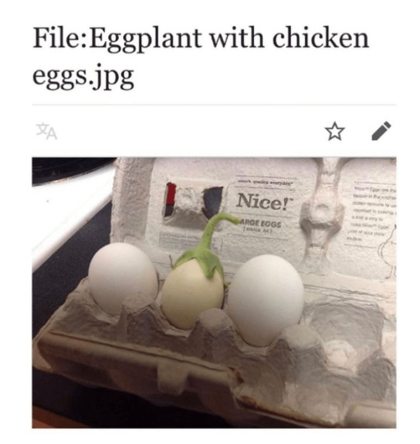 What the depths of Wikipedia hide: an account of the most absurd articles has appeared on Twitter