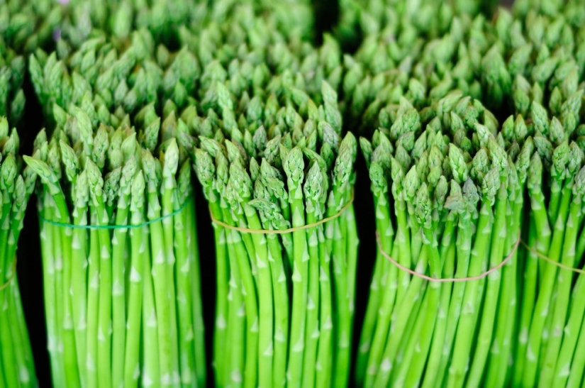 What to eat in the heat: 10 products for the summer What to eat in the heat: 10 products for the summer