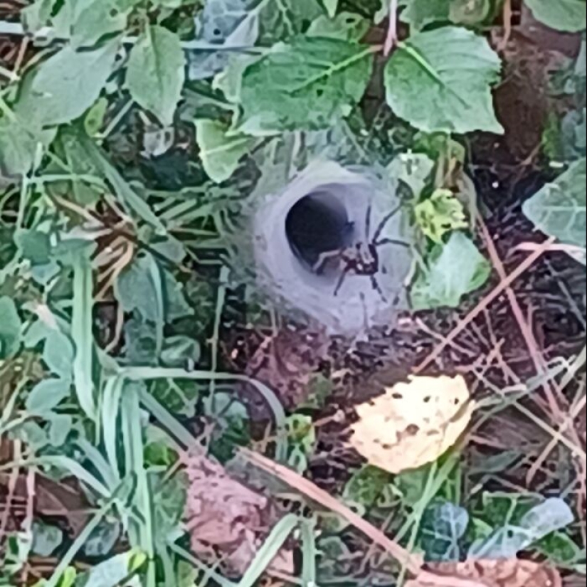 What’s A Weird Little Thing That You’ve Found?
