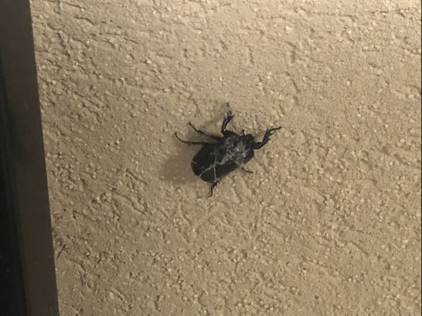 What’s A Weird Little Thing That You’ve Found?
