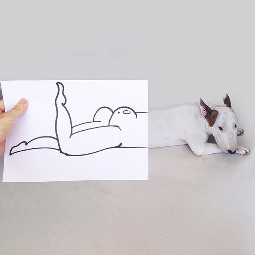 When the dog is posing