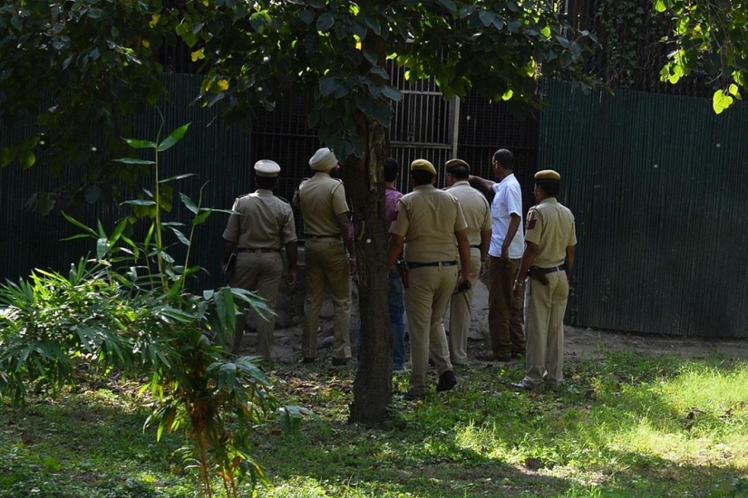 White tiger kills young man at Indian zoo