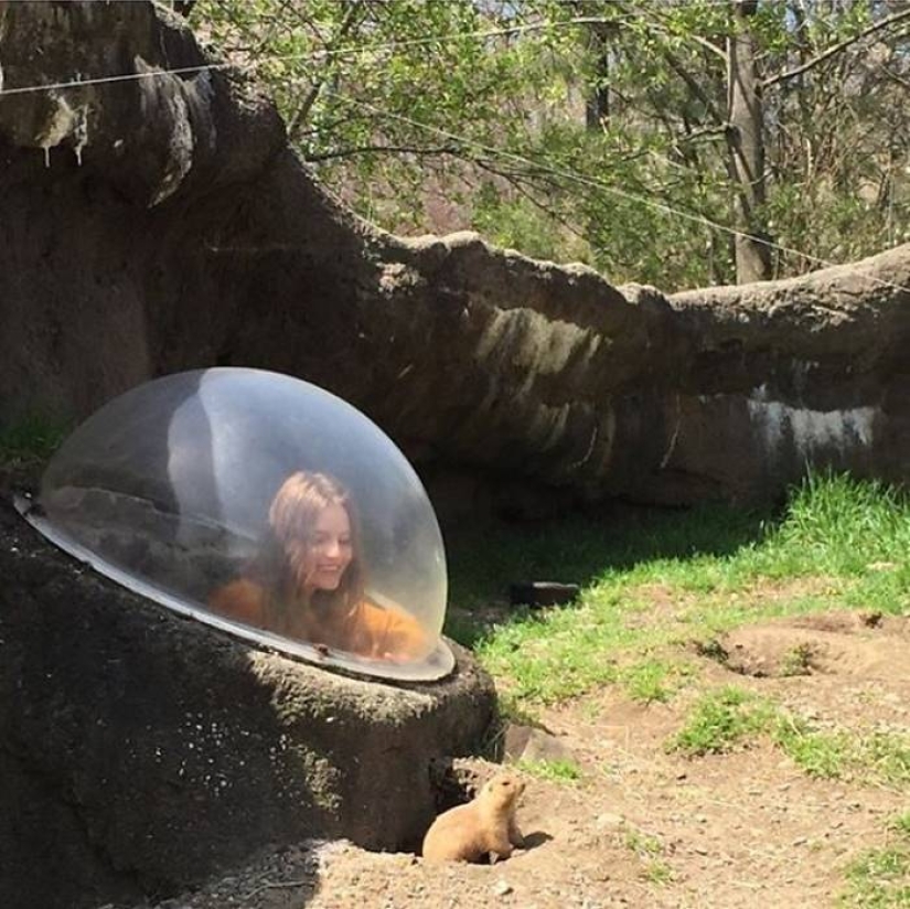 Who said models don&#39;t have a sense of humor? Funny Instagram Tilda Lindstam