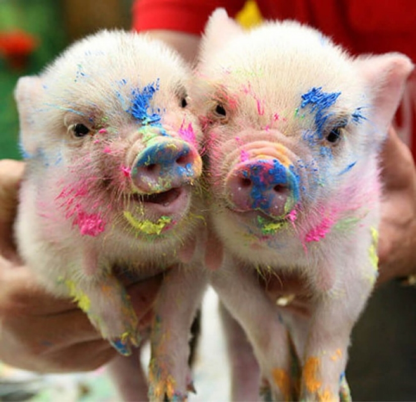 Who said that animals can't smile?
