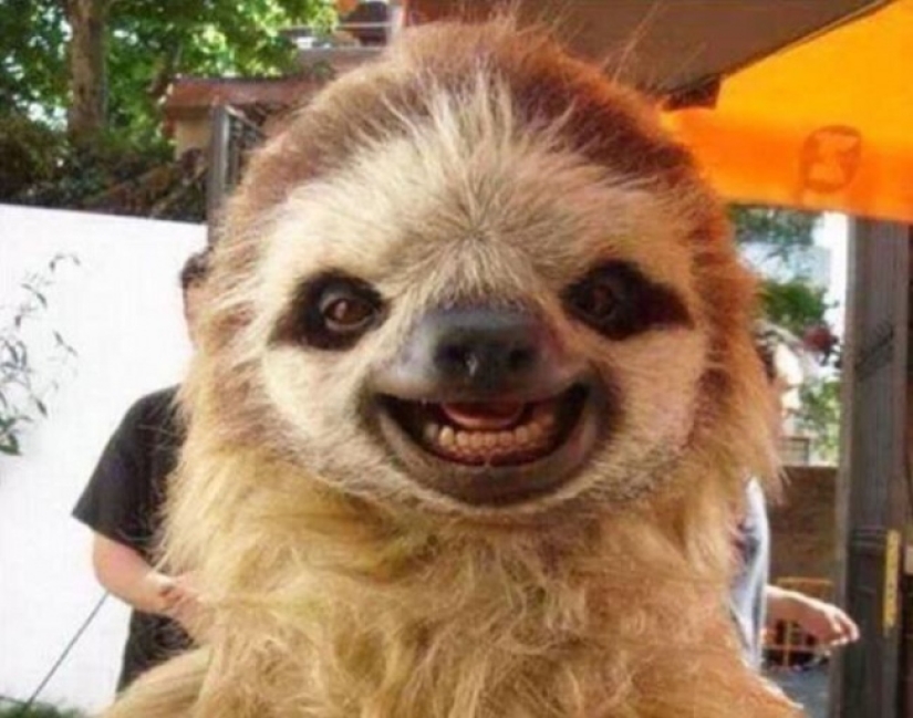 Who said that animals can't smile?