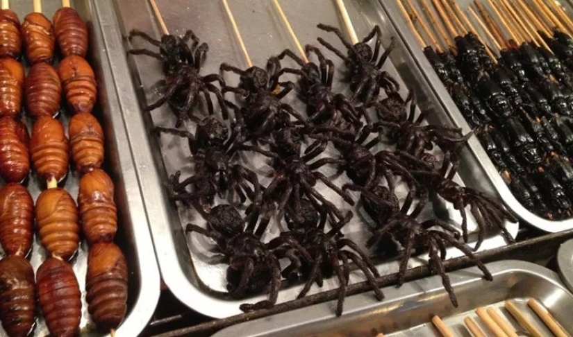 Why do the Chinese eat insects and "strange" foods that frighten civilized people