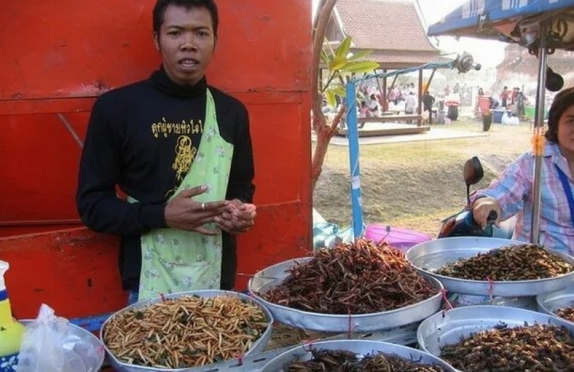Why do the Chinese eat insects and "strange" foods that frighten civilized people