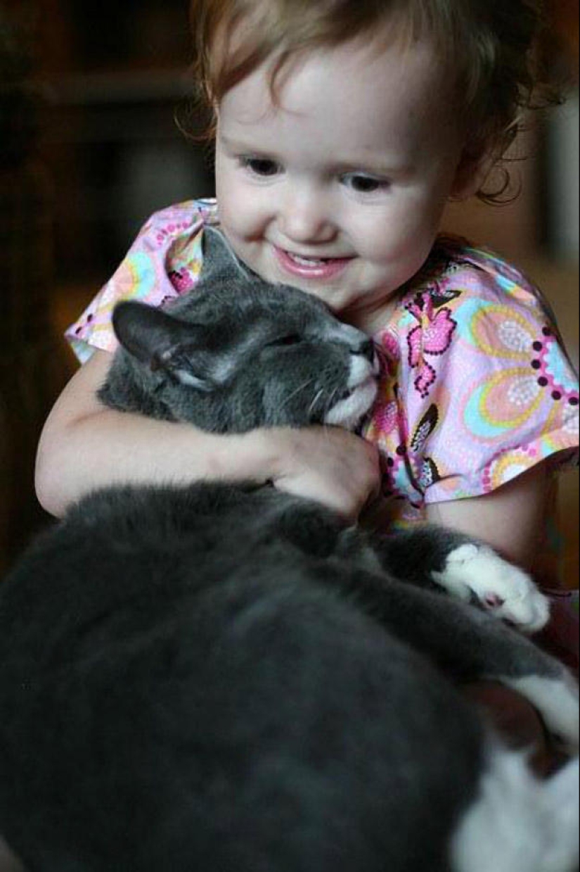 Why do we love cats