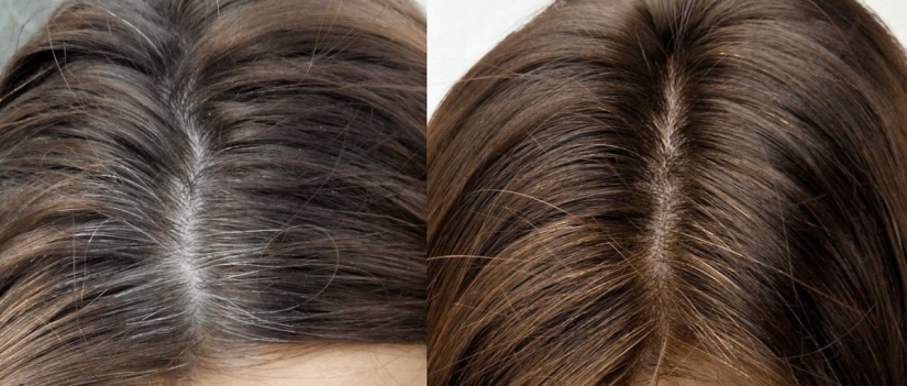 Why water your hair with oak bark. A natural remedy that women have been using since antiquity
