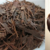 Why water your hair with oak bark. A natural remedy that women have been using since antiquity Why water your hair with oak bark. A natural remedy that women have been using since antiquity