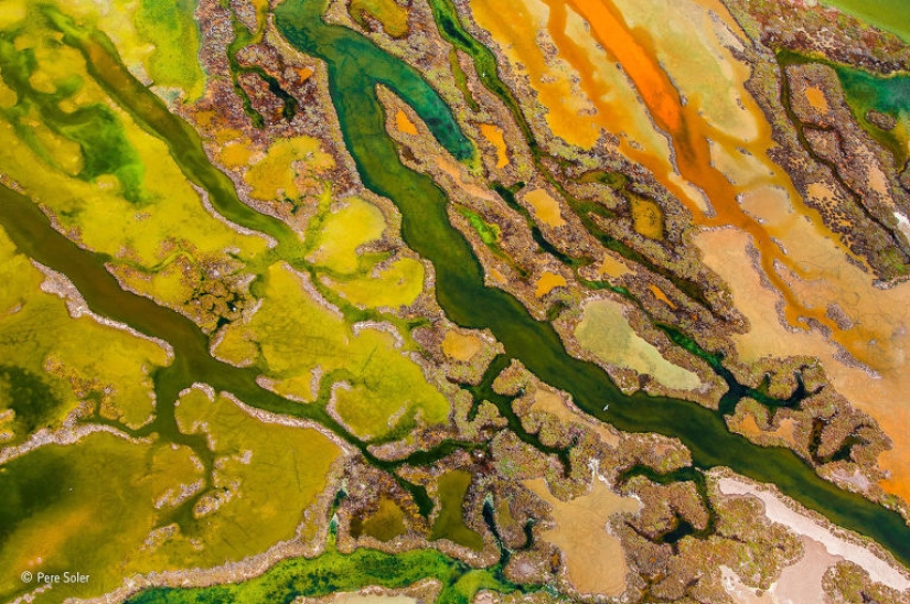 Wildlife Photographer 2015 Winners Wildlife Photographer 2015 Winners