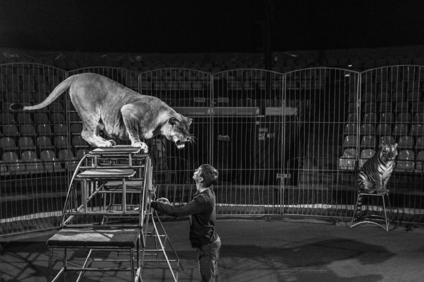 Winners of the Andrey Stenin International Photojournalism Competition