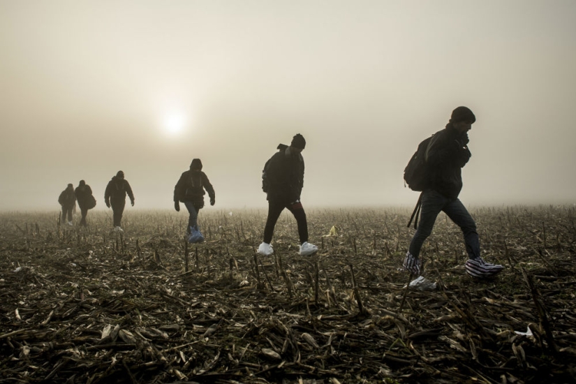 Winners of the Andrey Stenin International Photojournalism Competition