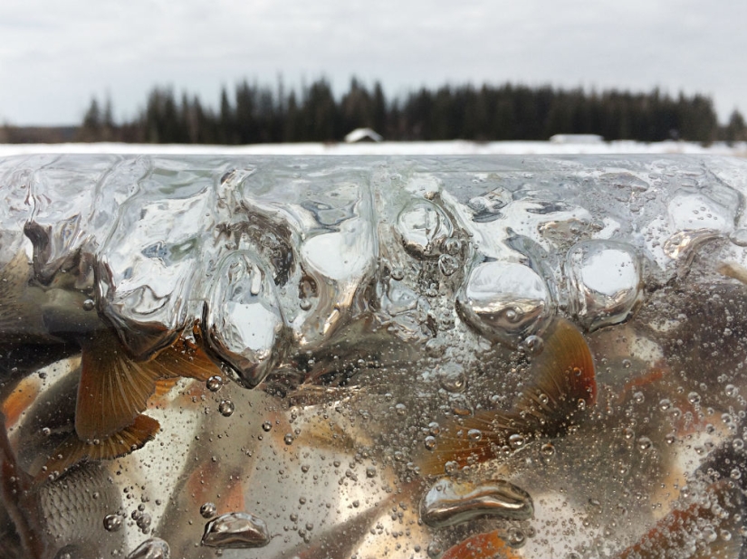 Winners of the Andrey Stenin International Photojournalism Competition