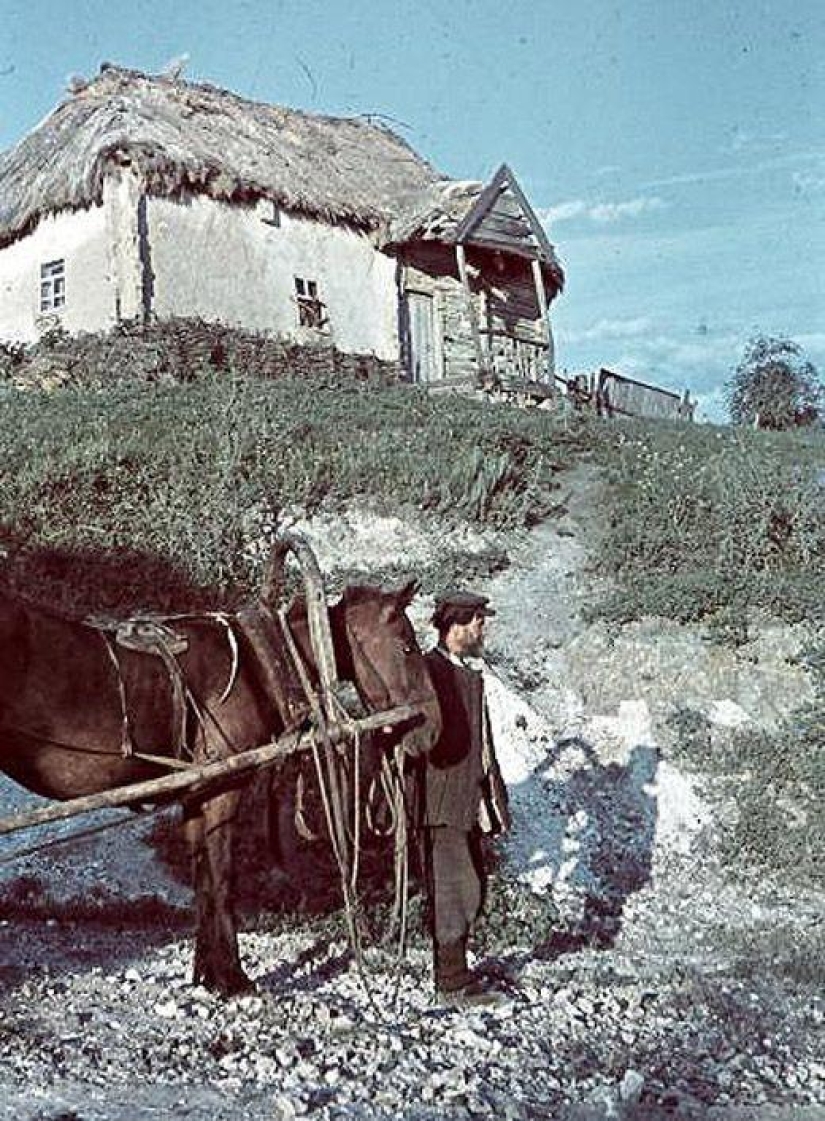 Without the image of the enemy: Photo by a Hungarian war correspondent