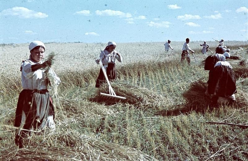 Without the image of the enemy: Photo by a Hungarian war correspondent