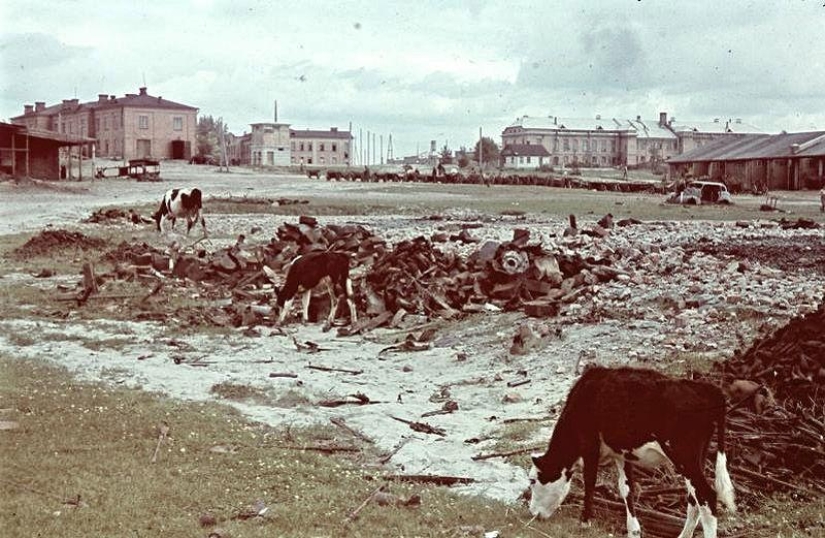 Without the image of the enemy: Photo by a Hungarian war correspondent