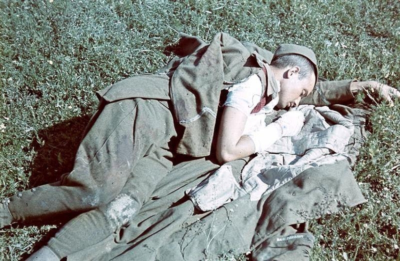 Without the image of the enemy: Photo by a Hungarian war correspondent