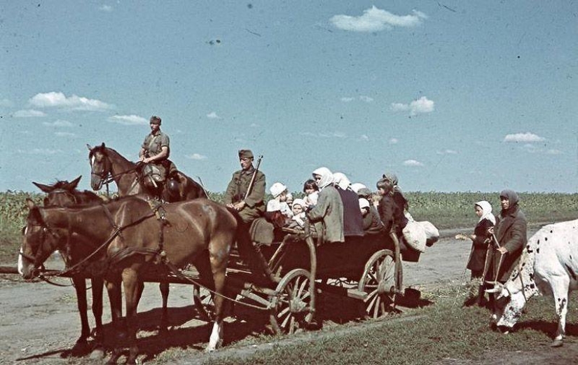 Without the image of the enemy: Photo by a Hungarian war correspondent