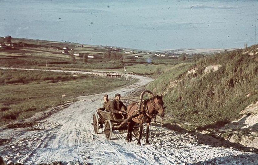 Without the image of the enemy: Photo by a Hungarian war correspondent