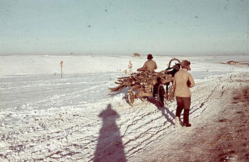 Without the image of the enemy: Photo by a Hungarian war correspondent
