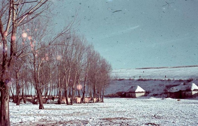 Without the image of the enemy: Photo by a Hungarian war correspondent