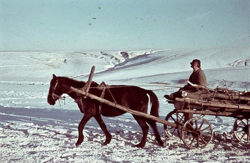 Without the image of the enemy: Photo by a Hungarian war correspondent